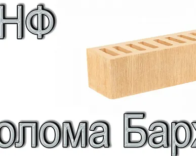 фото Кирпич Е1 КР-л-пу 0,7НФ ГОСТ Солома Бархат М 175