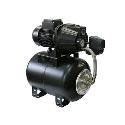 Фото №0 Насосная станция Zota Lotos 60SA