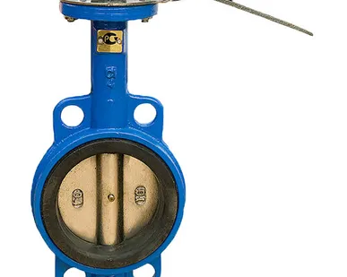 фото Затвор Ci поворотный дисковый 80