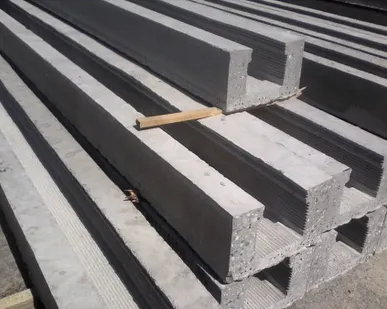 фото РИГЕЛИ