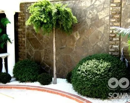 Фото №0 Декоративные отсыпки устройство