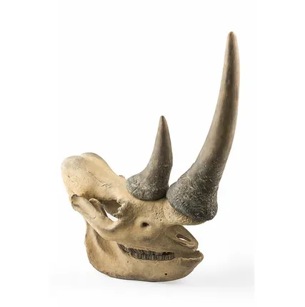 Фото №0 Фигура череп носорога Shishi CF1130579-F66