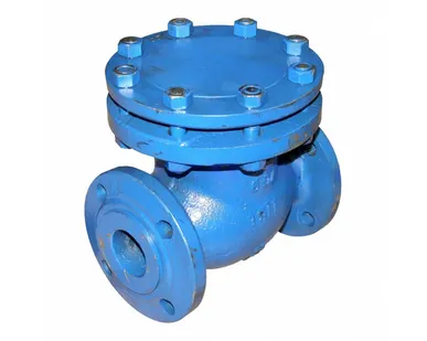 фото Клапан обратный поворотный 19нж53нж