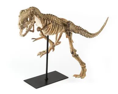 фото Фигура динозавра Shishi, полирезина CF1120756-F38