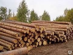 фото Куплю лес кругляк