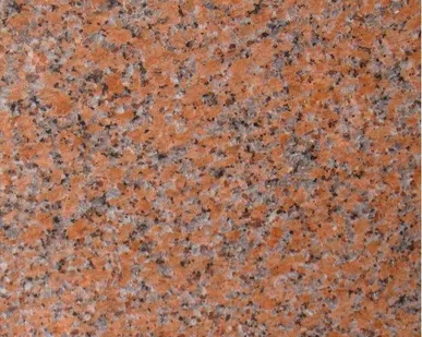 фото Плитка гранитная полированная 300*600*18 мм - G-562 Maple Red