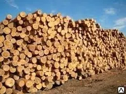 Фото №0 Лес круглый хвойных пород
в