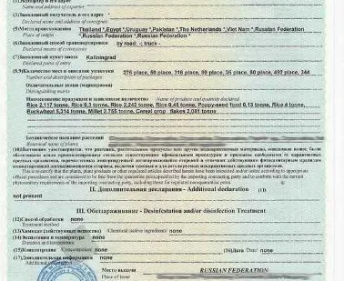 фото Сертификация