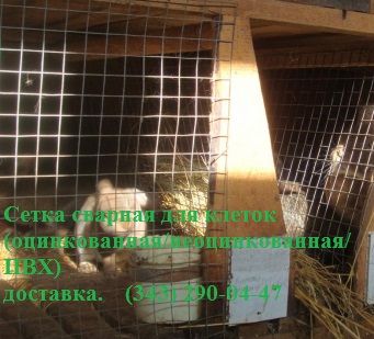 фото Сетка сварная оцинкованная для клеток