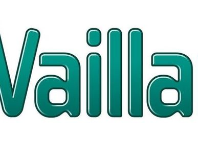 фото Водонагреватель электрический VEH 100 exclusiv Vaillant