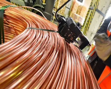 фото Катанка медная 8 мм М1ор EN1977-98