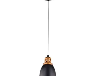 фото Подвесной светильник Arte Lamp EURICA A4248SP-1BK