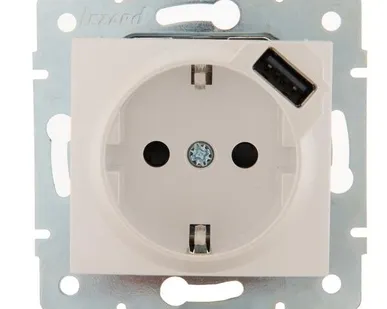 фото Механизм розетки 1-м СП KARINA 16А с з/к + USB разъем жемчуж./бел. перламутр LEZARD 707-3088-181