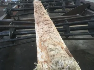 Фото №2 Окорочный станок для горбыля ОСГ-500 "СИТЕК" в Барнауле