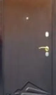 фото Дверь стальная Аргус ППУ