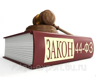 фото Экспертные услуги в сфере госзаказа