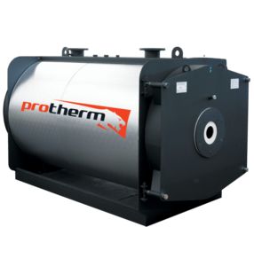 фото Комбинированный котел Protherm NO 350