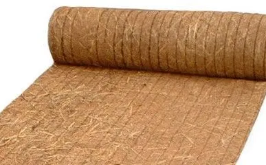 фото Биомат