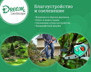 фото Удаление (спил) аварийных деревьев