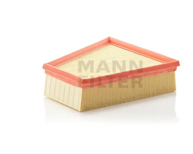 фото Воздушный фильтр MANN C 2295/2