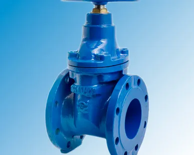 фото Задвижка чугунная 30ч39р Ду100 с обрезиненным клином