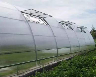 фото Теплицы фермерские