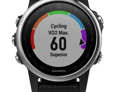 фото Часы Garmin Fenix 5S серебристые с черным ремешком