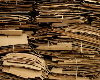 фото Макулатура