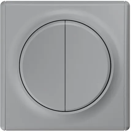 Фото №0 Выключатель 2-кл. СП Florence 10А IP20 механизм сер. 1E31501302 OneKeyElectro 2172845