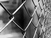 Фото №0 Сетка металлическая