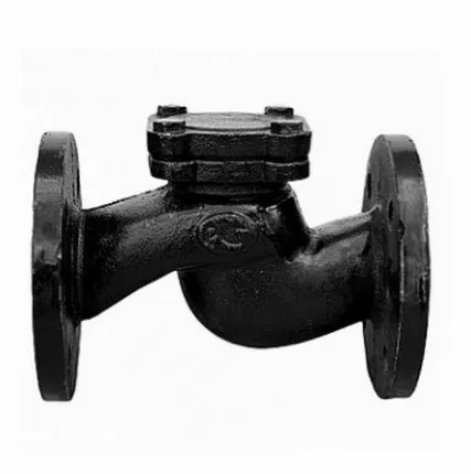 Фото №0 16ч6п, Клапан обратный подъемный