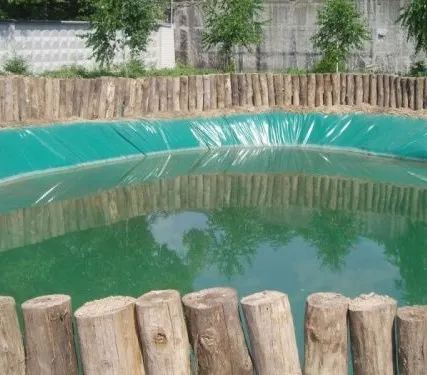 Фото №0 Пленка для водоема