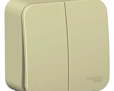 фото Выключатель 2-кл. ОП Blanca 10А IP20 (сх. 5) 250В с изолир. пластиной беж. SE BLNVA105017