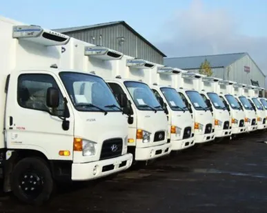 фото Рефрижератор Hyundai HD-78