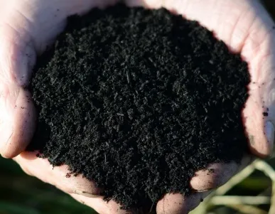 фото чернзем