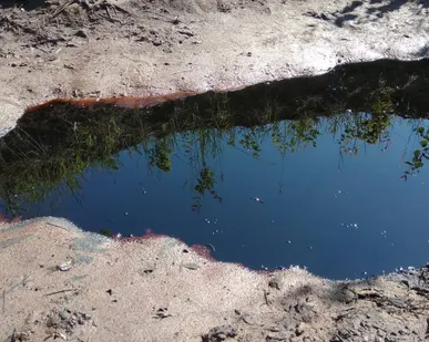 фото Очистка загрязненных и обводненных топлив