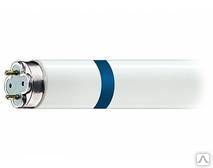 фото Осколкобезопасная лампа 10W (для WE-100-2)