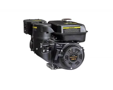фото Двигатель Carver 170F-2