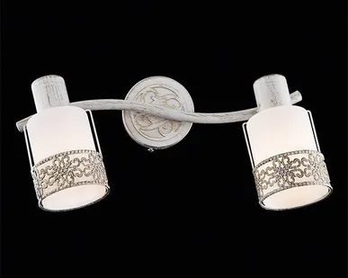 фото Спот 20025/2 белый с золотом