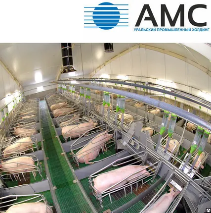 Фото №0 Свинарник из сэндвич панелей