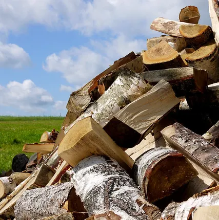 Фото №0 Дрова для мангала