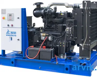 фото Дизельный генератор ТСС АД-60С-Т400-1РМ19