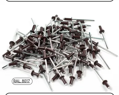 фото Заклепка вытяжная 4х10 (RAL 8017), 100шт.