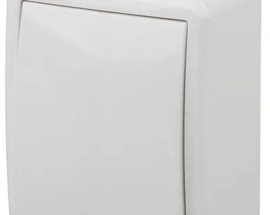 фото Выключатель 1-кл. ОП Эра Эксперт 10А IP20 11-1202-01 250В 10AX с подсветкой бел. Эра Б0020657