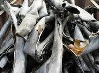 Фото №0 СпецЦены от 100,300,500 кг