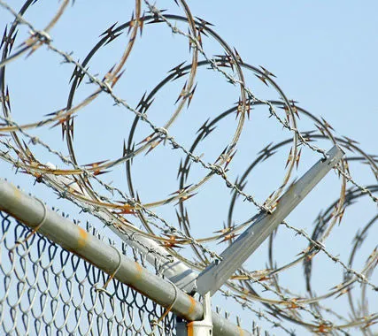 Фото №0 Установка колючей проволоки