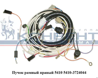 фото Пучок рамный правый 5410