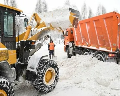 фото Вывоз снега