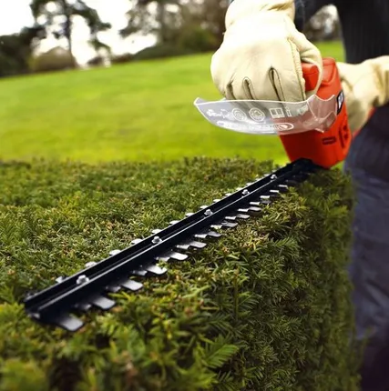 Фото №0 Формовочная обрезка деревьев