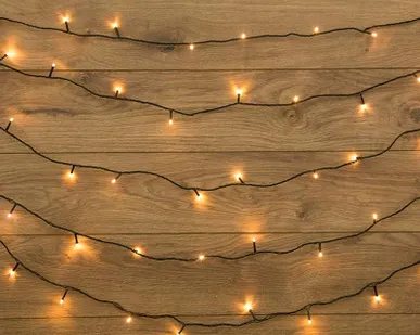 фото Гирлянда "ТВИНКЛ ЛАЙТ LED" (с контроллером 8 режимов) 6м 40LED 4Вт 220В IP20 тепл. бел. провод темн.-зел. ПВХ NEON-NIGHT 303-026